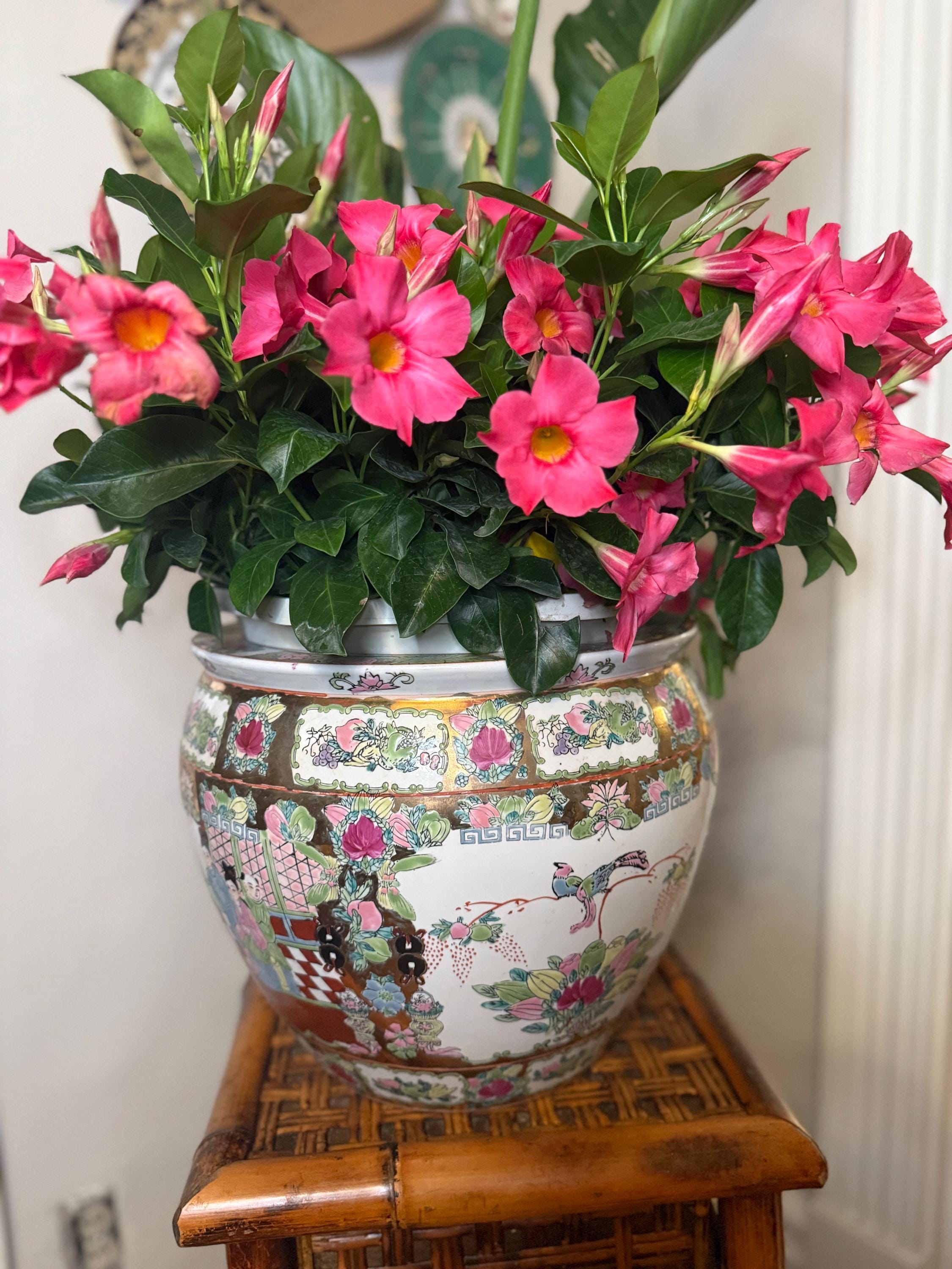 Planters & Jardinières